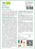 SAFLAX  -- Melissa - 1000 semi - Melissa Anteprima dell’immagine prodotto 3