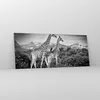 Bilder auf glas - Einteilig - Giraffen Schwarzweiß Produktbild-Vorschau 4