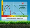 10 kg starker mineralischer Rasendünger mit 3 Monaten Produktbild-Vorschau 5