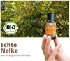 PHINTIN Bio Nelkenöl 30ml 100% naturrein | Ätherisches Öl Produktbild-Vorschau 5