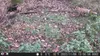 Outdoor Wildlife Hunting Trail und Wildkamera OXE Gepard Produktbild-Vorschau 20