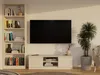 A living room scene with a TV stand, TV, bookshelf, and plants. Náhled obrázku produktu