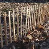 A close-up view of a wooden picket fence made of hazelnut branches, with barbed wire running through it, set against a background of fallen leaves and dry grass. Produktbild-Vorschau