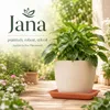 Jana podstawka pod doniczkę z terakoty 20 x 20 cm - Podgląd zdjęcia produktu 7