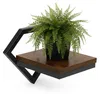 ModernHome ME-ATS01 Wandregal für Pflanzen, 19 x 19 x 25 Produktbild-Vorschau 7