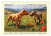 Pit Bull Terrier. Zwischen Wildblumen und Großstadtglanz Produktbild-Vorschau 13