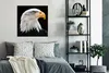 MuchoWow® Poster Seeadler - Porträt - Vogel - Seeadler Produktbild-Vorschau 4