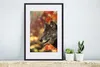 MuchoWow® MuchoWow® Gerahmtes Poster Wolf - Nahaufnahme - Produktbild-Vorschau 4