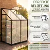 ROSEJANE, szklarnia aluminiowa, odporna na warunki zimowe, Podgląd zdjęcia produktu 5