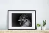 MuchoWow® MuchoWow® Gerahmtes Poster Hahn - Vogel - Schwarz Produktbild-Vorschau 4