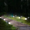 Solar-powered pathway lights illuminating a wooden walkway in a garden at night. Voir les images du produit