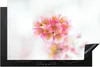 KitchenYeah© Herdabdeckplatte Die rosa Kirschblüten mit Produktbild-Vorschau 1