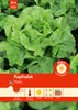 Kopfsalat Attractie | Kopfsalatsamen von Carl Pabst Produktbild-Vorschau 3