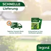 Florfliegenlarven gegen Blattläuse und Thripse - 5 Träger Produktbild-Vorschau 5
