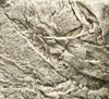 Motivo retro Cliff Light (60 x 55 cm) Voir les images du produit 5