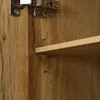 Close-up view of a cabinet interior showing a shelf and a hinge. Produktbild-Vorschau