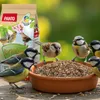 PANTO Gartentraum Sämereienmischung 5 x 1 kg - Produktbild-Vorschau 3
