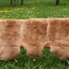 Lammfell Coburger Fuchsschaf - Farbe: Hellbraun | Größe: Produktbild-Vorschau 7
