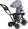 Homelux Dreirad Dreirad Drehsitz mit drehbarem Sitz Markise Produktbild-Vorschau 2