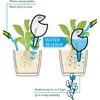Scheurich Wasserspender Froggy M | 2x Grün | 140 ml Produktbild-Vorschau 6