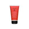 Apivita Color Seal Color Protect Conditioner ochranný Náhled obrázku produktu 1