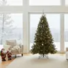 Triumph Tree Arbre de Noël artificiel Bristlecone Fir - Voir les images du produit 11