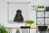 MuchoWow® Wandteppich Wandbehang Kind - Affe - Schimpanse - Produktbild-Vorschau 2