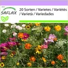 SAFLAX - Řezané květiny louka - Mix - 1000 Semena Náhled obrázku produktu 4