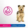 Perfect Fit Adult 1+, Dorosły, Mini (5 - 10 kg), Kurczak, 6 Podgląd zdjęcia produktu 3