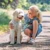Nobby Soft Grip, Hund, Zugfreier Gurt, S-M, Schwarz, Nylon, Produktbild-Vorschau 2