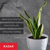 Plastový květináč KADAX "Amily", květináč s podšálkem. Náhled obrázku produktu 7