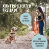 RUDELKÖNIG Schleppleine 10m Orange – Wasserfeste Hundeleine Produktbild-Vorschau 2