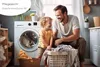 heimtexland ® Scheibengardine Set 3-tlg Schlaufen Gardine Produktbild-Vorschau 5