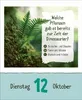 Kinderwissen Kalender 2027 für Kinder mit Geschichten, Produktbild-Vorschau 5