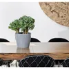 Blumentopf Pflanzkübel Pflanzgefäß Übertopf Kunststoff Produktbild-Vorschau 5