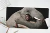 MuchoWow® Mauspad Mousepad Elefant - Männlich - Tiere - Produktbild-Vorschau 5