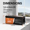 Batterie LiFePO4 12V 200Ah PLUS pour camping-cars, Voir les images du produit 6