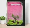 Tente de culture Jayseuw Growbox 100x100x200 cm Tente de Voir les images du produit 6