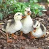 Dekofigur Gartenfigur Entenküken Produktbild-Vorschau 4