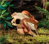 Exo Terra Versteck Buffalo Skull Produktbild-Vorschau 8