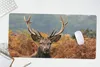 MuchoWow® Schreibtischunterlage Hirsch - Baum - Herbst Produktbild-Vorschau 5