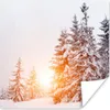 MuchoWow® Poster Sonne - Bäume - Schnee 75x75 cm - Wand Produktbild-Vorschau 1
