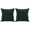 vidaXL Cuscino decorativo 2 pz. Velluto verde scuro 40x40 Anteprima dell’immagine prodotto 1