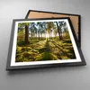 Gerahmtes Poster - Schwarzer Rahmen - Wald Baum Natur - Produktbild-Vorschau 3