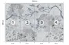 Muralo Selbstklebende Fototapete Blumen BETON Optik Vintage Produktbild-Vorschau 2