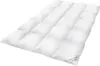 A white down comforter is laid out on a white background. Produktbild-Vorschau