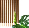 10er Set Pflanzstäbe Kokos 110 cm - Monstera Rankhilfe Produktbild-Vorschau 1