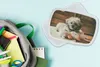 KitchenYeah® Lunchbox Brotzeit Brotdose 17x11 cm Ein Shih Produktbild-Vorschau 2