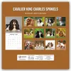 Cavalier King Charles Spaniels - Cavalier King Charles Produktbild-Vorschau 2