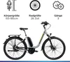 Zündapp X300 E Bike Damenfahrrad 155 - 180 cm Stadtrad Produktbild-Vorschau 3